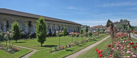 Terrein van de accommodatie