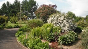 A landscaped garden with a variety of plants and trees, a curved driveway, and a clear sky.