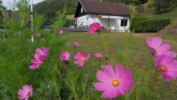 Une maison avec un toit en pente et un petit porche.