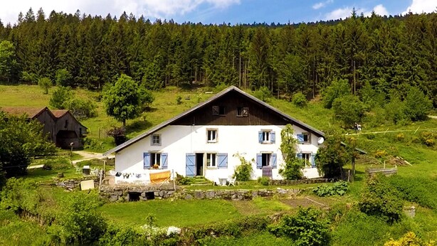A two-story house with a sloped roof, surrounded by a lush green landscape and a dense forest in the background. - Charming studio in farmhouse with terrace and parking - Vosges mountains (Le Menil)