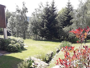 A well-maintained garden with a variety of trees and shrubs, a grassy lawn, and a stone pathway.