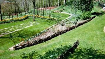 Terrein van de accommodatie