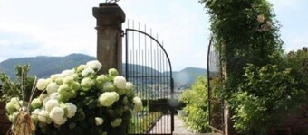 Historic Gîte with Forest Views, Near Alsace, Perfect for Couples