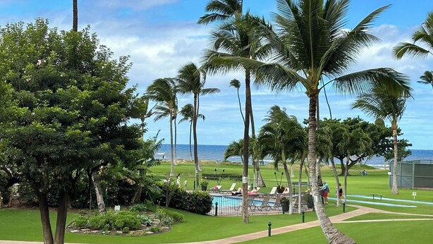 A lush garden with palm trees, a pool area, and a view of the ocean. - Relaxing garden setting with ocean view A210 (Kihei)