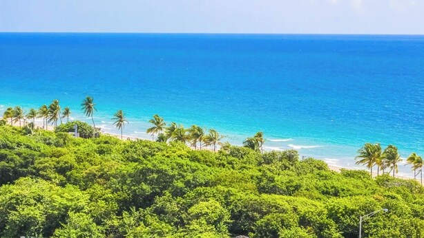 A tropical beach with dense green foliage and palm trees, leading to a clear blue ocean. - 2 Bdrm intercostal Water View @ Fort Lauderdale Beach Resort, FL (Fort Lauderdale)