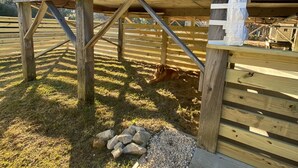 A wooden structure with a sloped roof, possibly a deck or elevated platform, supported by wooden beams. - Salvo Sandbox: Ocean-Side, Dog-Friendly Cottage (Salvo)