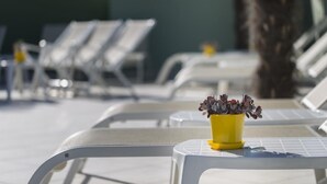 Eine Reihe weißer Liegestühle, auf einem davon ein gelber Topf mit Sukkulenten.