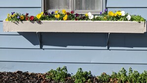 A window with a metal screen and a flower box below it. - Clean, full kitchen, stand alone cabin adjoining Lake Barkley State Park (Cadiz)
