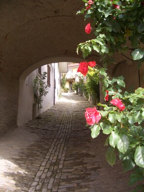 Property grounds - Holiday Home nearby the village (Murazzano)