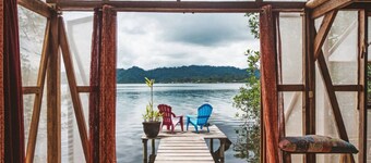 Waterfront Mangrove Treehouse - sloths & coral