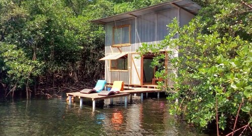 Waterfront Mangrove Treehouse - sloths & coral