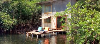 Waterfront Mangrove Treehouse - sloths & coral