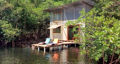 Waterfront Mangrove Treehouse - sloths & coral