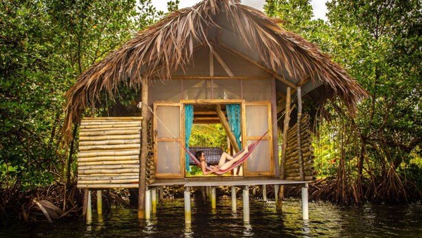 A thatched-roof hut with a hammock and a wooden deck over water, surrounded by dense vegetation.