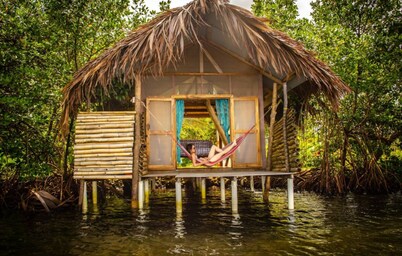 Waterfront Dolphin Pod - Bocas' best snorkeling!