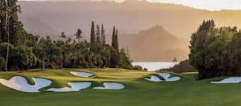 Tropical, Bright Studio: Steps to Golf Course, Beaches, & Amazing Views