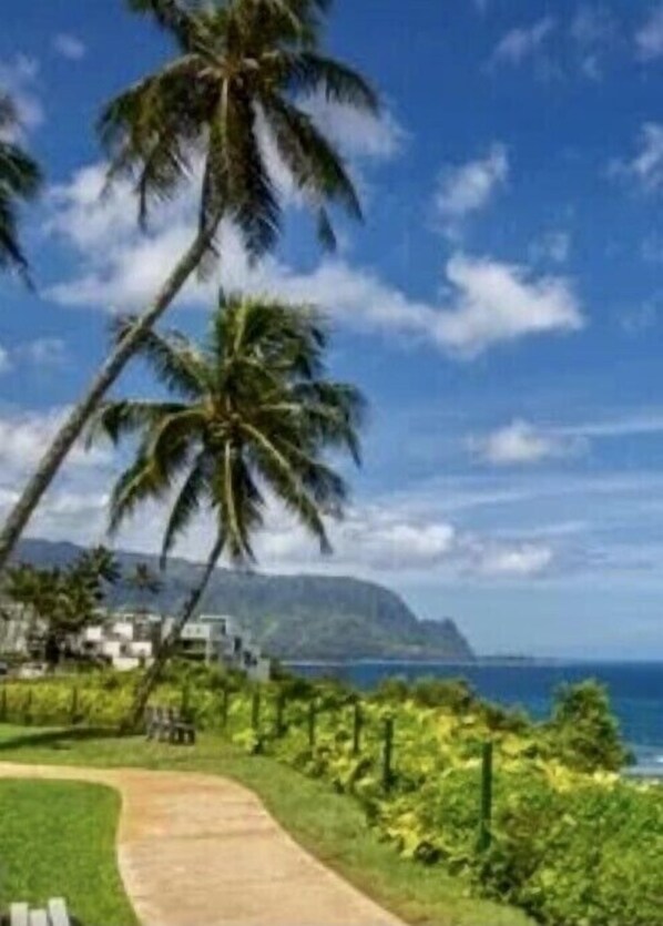 Guests can enjoy breathtaking ocean views from a serene coastal setting surrounded by lush greenery and palm trees.