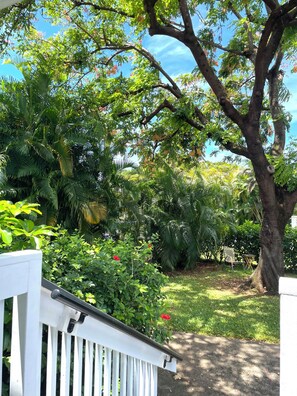 A lush garden with a white fence, a tree with pink flowers, and a chair. - Tropical, Bright Princeville Studio with Mountain Views (Princeville)