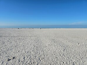 Une vaste plage de sable, parsemée d’empreintes de pneus, sous un ciel bleu et dégagé.