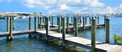 House, Multiple Beds (Eisenhower Retreat) | Pool