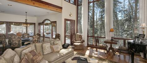 TV, fireplace, books