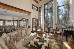 TV, fireplace, books