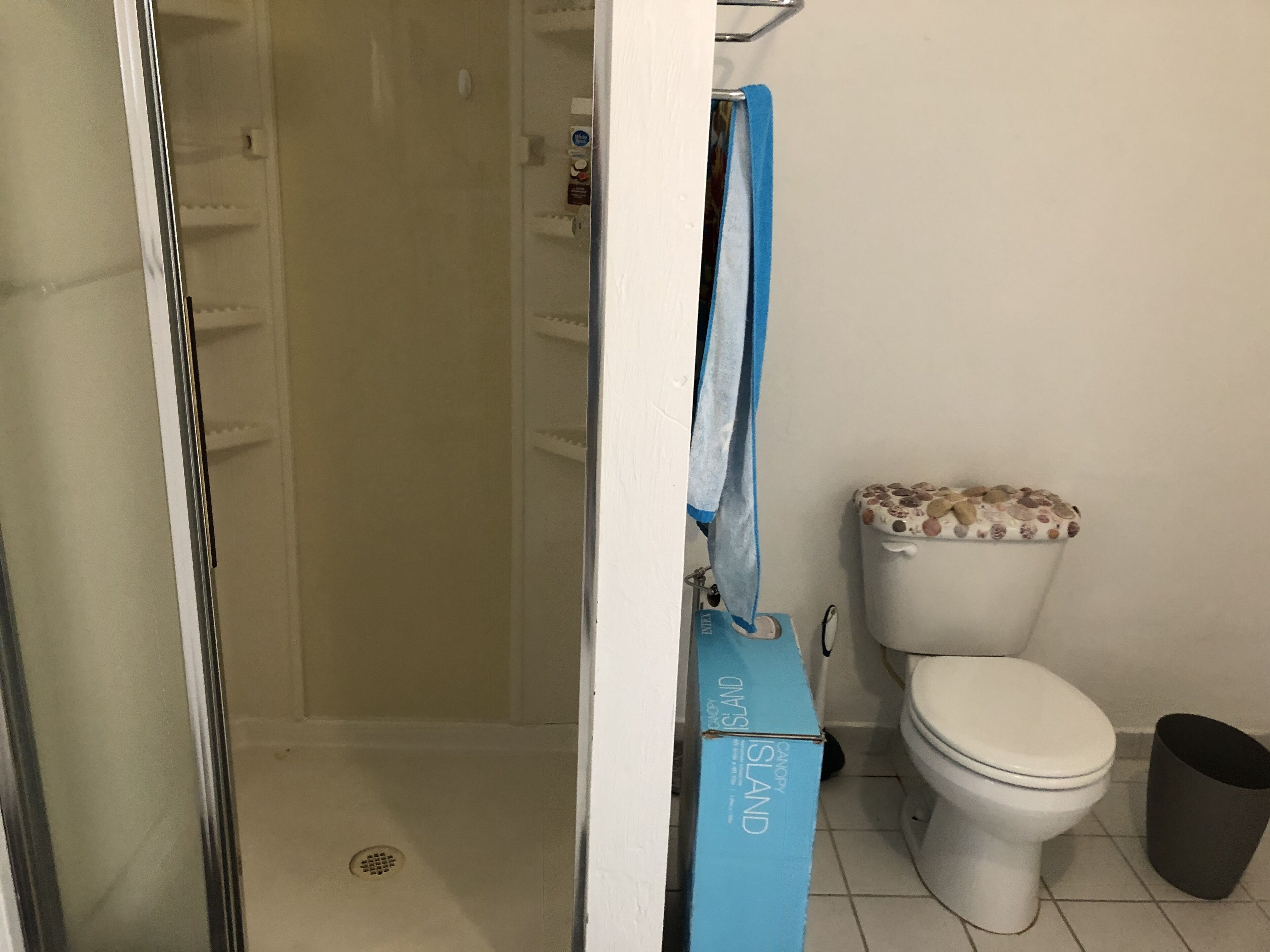 Casa de banho com sanita, chuveiro e um contentor de lixo.