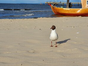 Beach nearby