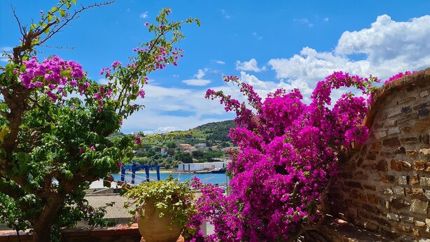 A stone wall with a view of a coastal town and a body of water. - House with view of the sea and vineyards; Near coastal path and town center (Port-Vendres)