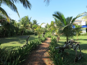 Vườn