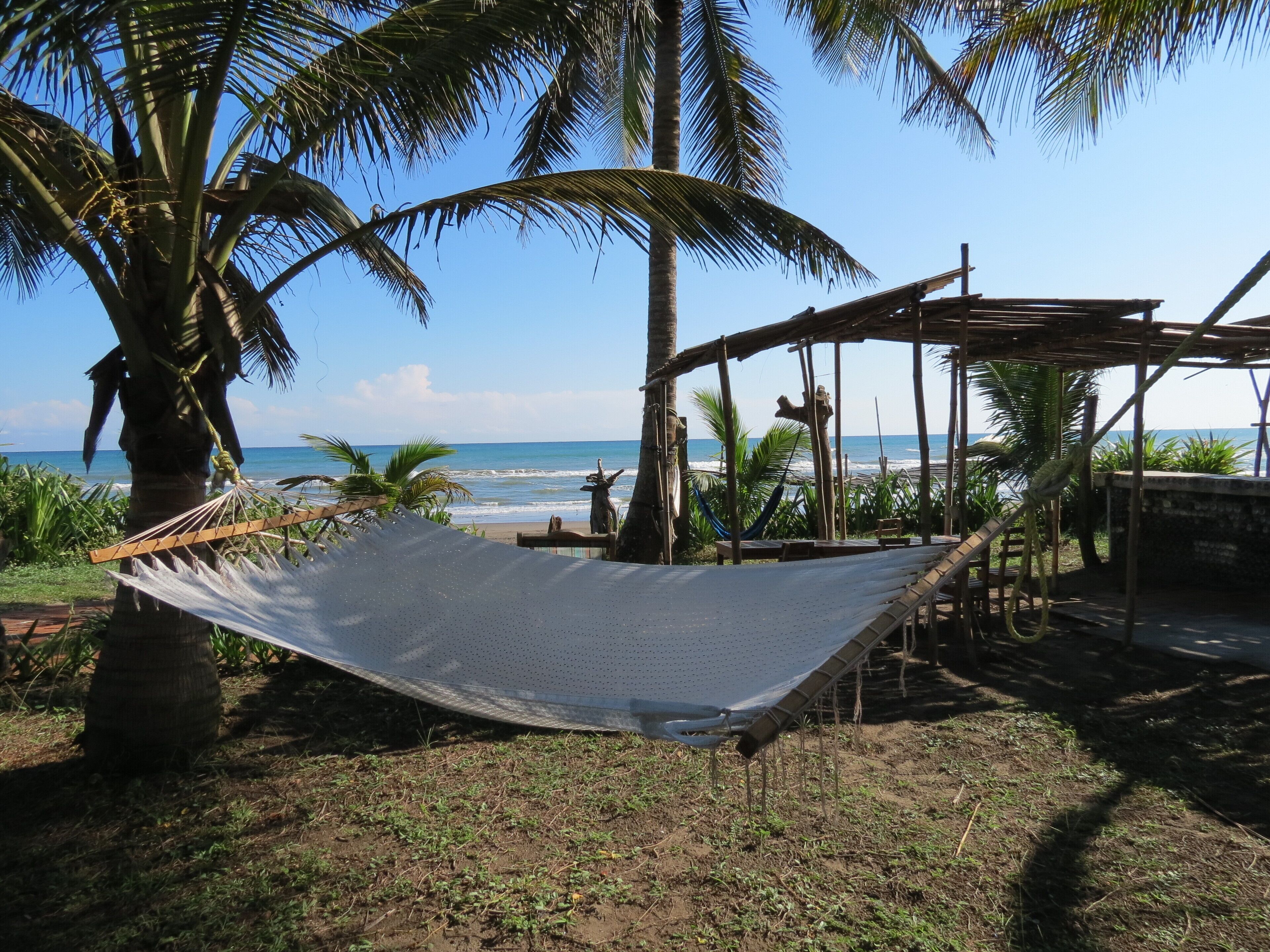 Eco Coco Loco by Rotamundos