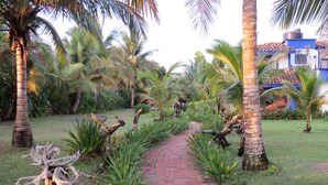 Jardín