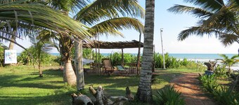 Eco Coco Loco by Rotamundos