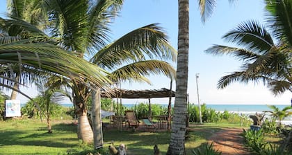 Eco Coco Loco by Rotamundos