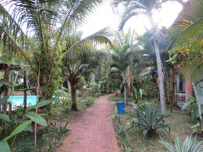 Vườn