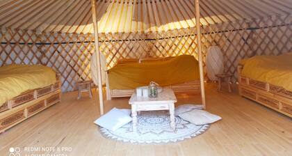 An unusual night in a yurt