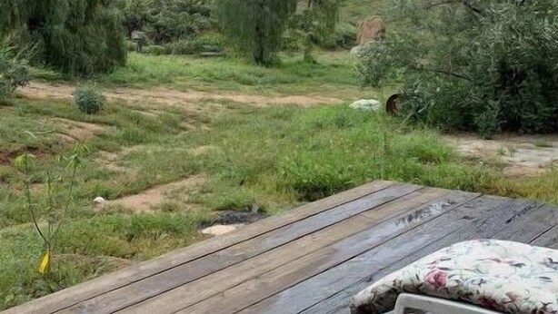 En träaltan med en bänk, med utsikt över ett grönområde med få träd och en kulle i bakgrunden.