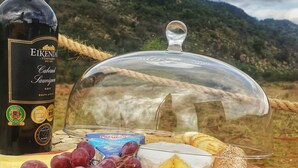 A bottle of Eikendal Cabernet Sauvignon 2017, a block of President cheese, a bunch of grapes, and a covered cheese display on a wooden table with a mountainous backdrop. - Africa's first Bubble Acomidation  (Piet Retief)