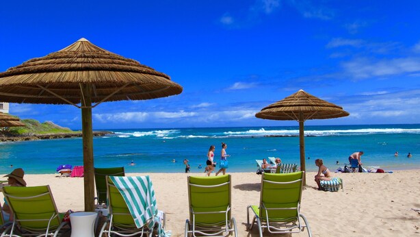 Une plage avec des parasols en chaume, des chaises longues vertes et une vue sur l’océan.