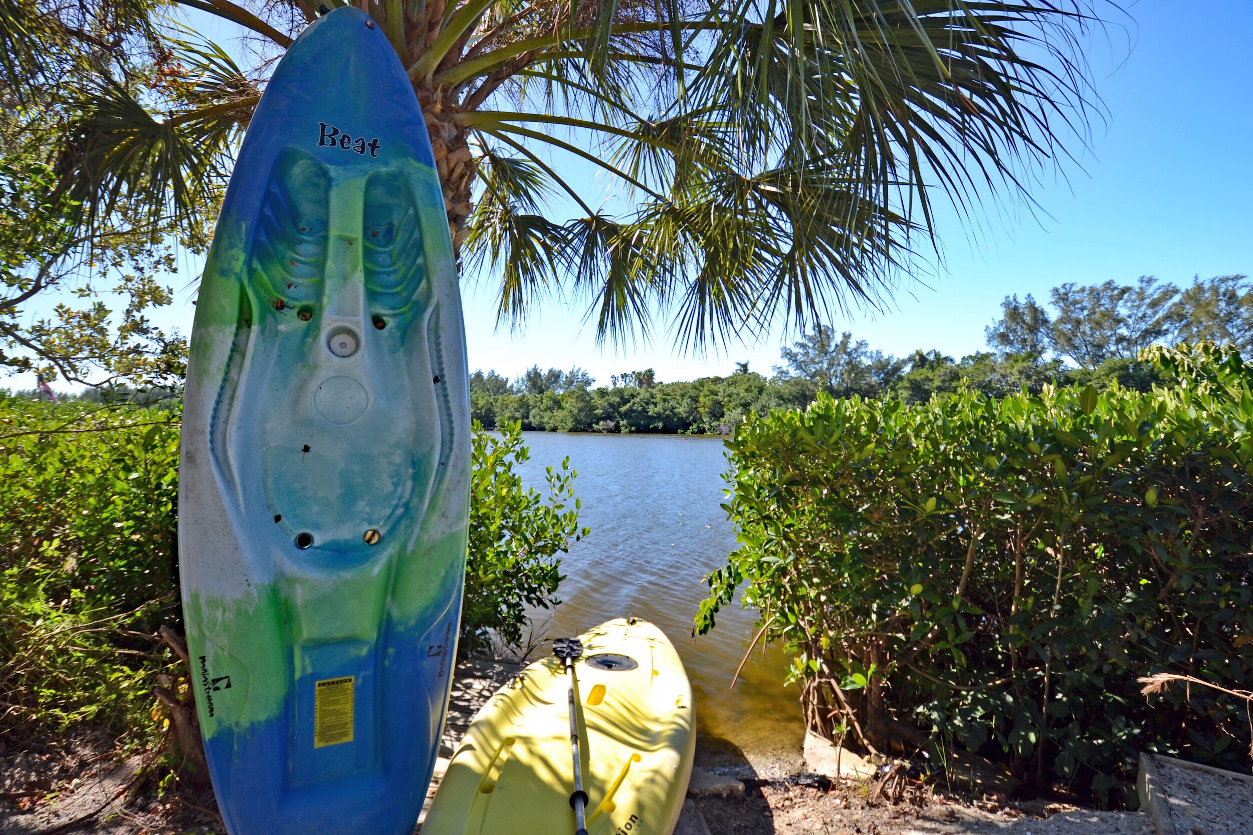 Un kayak sur lequel est écrit le mot « Beat », un kayak jaune, et une étendue d’eau avec des arbres en arrière-plan.
