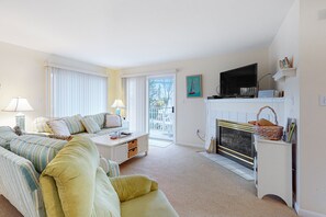 TV, fireplace, DVD player