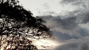 Tramonto con nuvole e sagome di alberi.