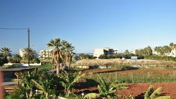 Àrea exterior de l'allotjament