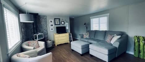 TV connectée, cheminée, lecteur de DVD, livres