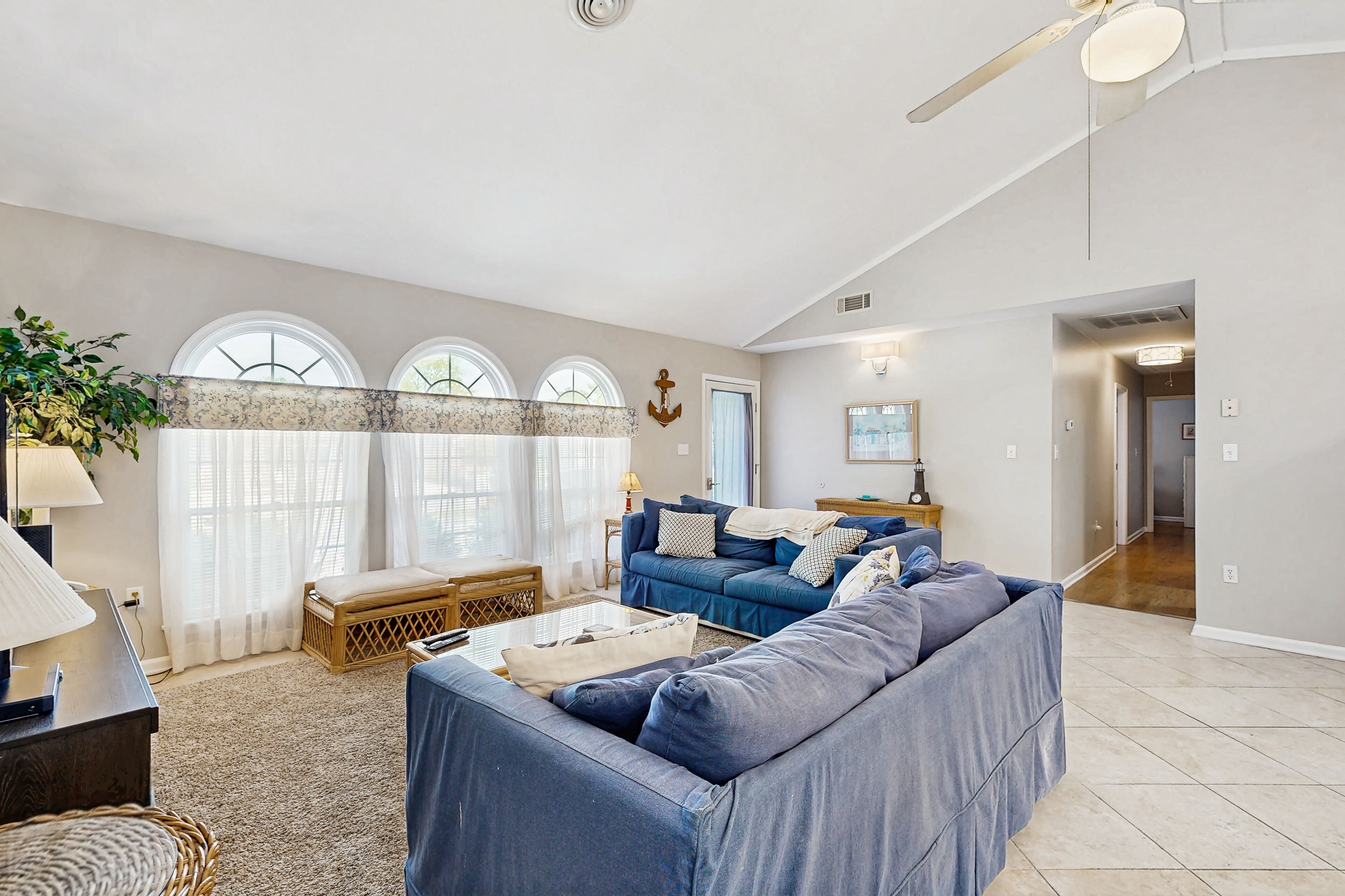 テレビ、DVD プレーヤー、書庫