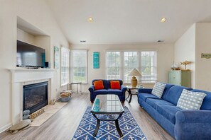 TV, fireplace, books