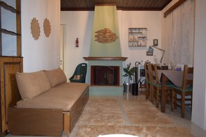 Smart TV, fireplace, Netflix, books