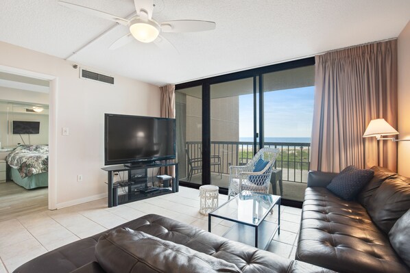 薄型テレビ、DVD プレーヤー