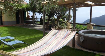 TINA HOUSE "The Oleander"