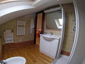 Shower, hair dryer, bidet, towels